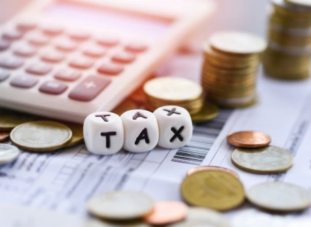 INDIVIDUAL TAXES